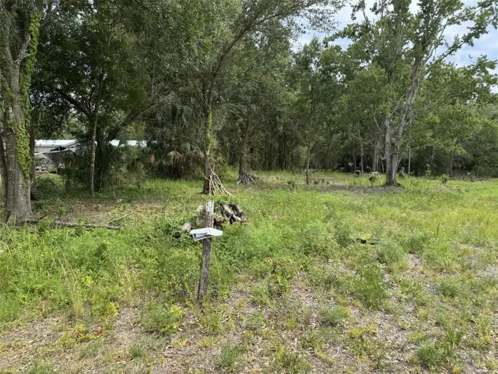 Picture 5