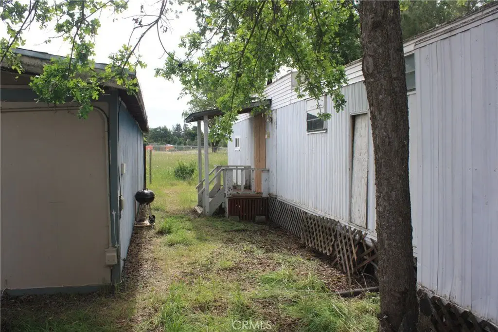 Picture 23