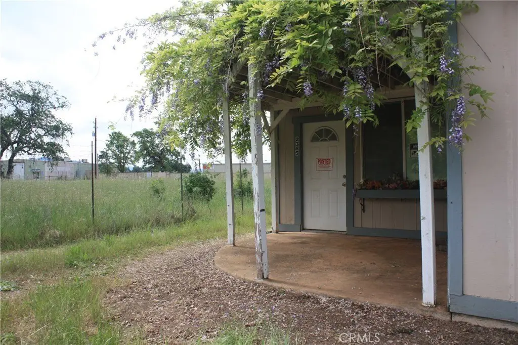 Picture 6