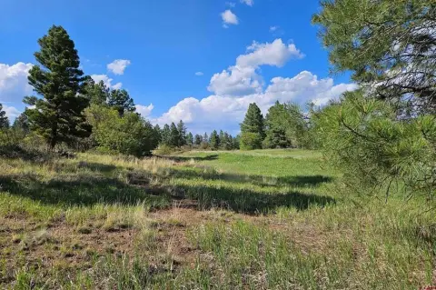 Pagosa Springs Residential Land