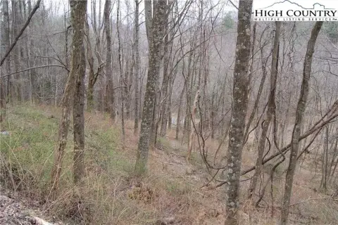 Wooded Land in Laurel Mountain