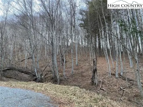 Laurel Mountain Land For Sale