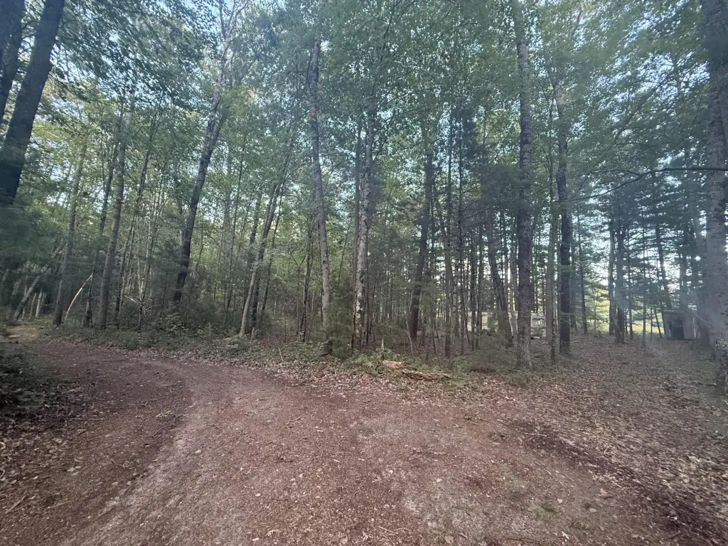 Picture 2