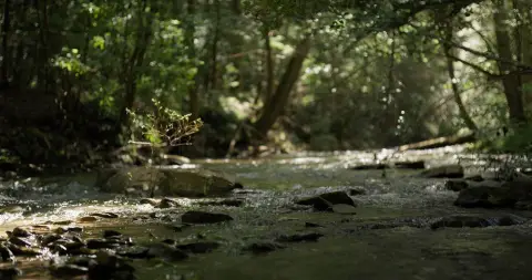 Waterfront Land with Creek and Pond
