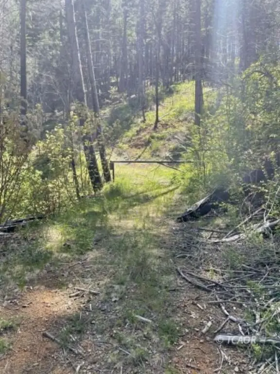 Picture 4