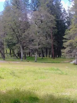 Hayfork Land with Utilities