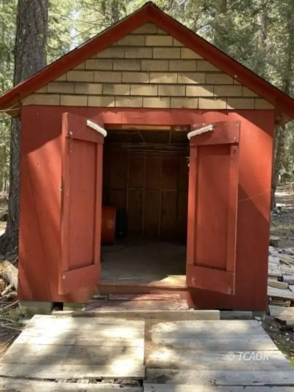 Picture 8