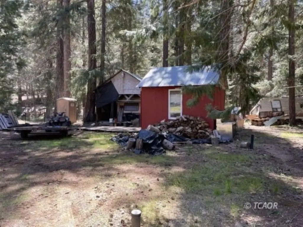 Picture 3