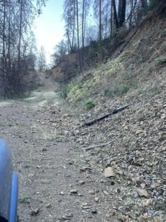 Picture 12