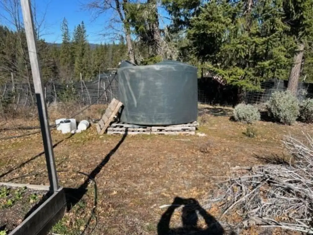 Picture 8