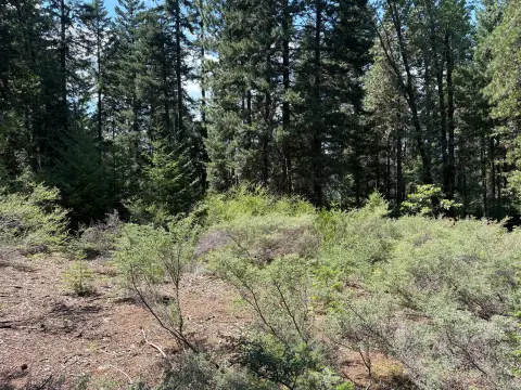 40 Acres Near Lake Siskiyou