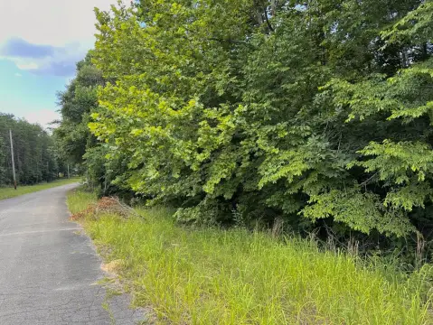 60 Acres of Wooded Land