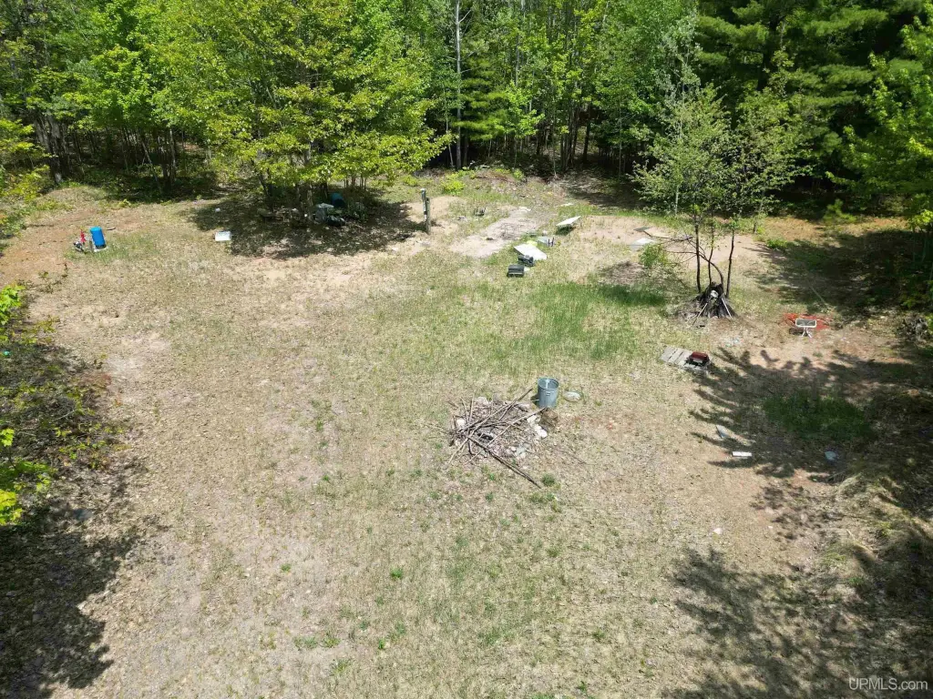 Picture 6