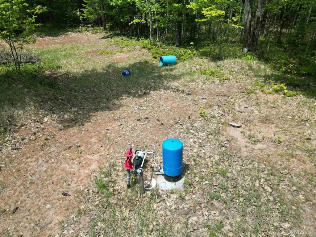 Picture 4