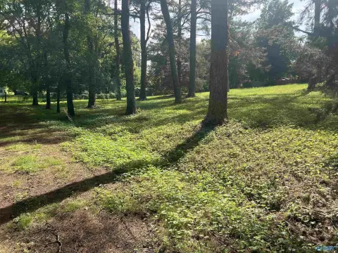 Spacious Lot in Harvest, AL