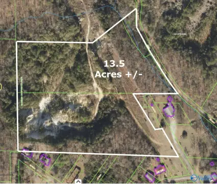 Gadsden Acreage For Sale