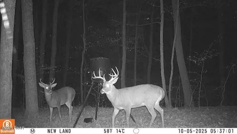 13+ Acres in Newfoundland, PA