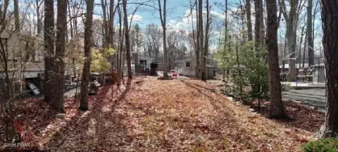 Level Campsite in Wooded Area