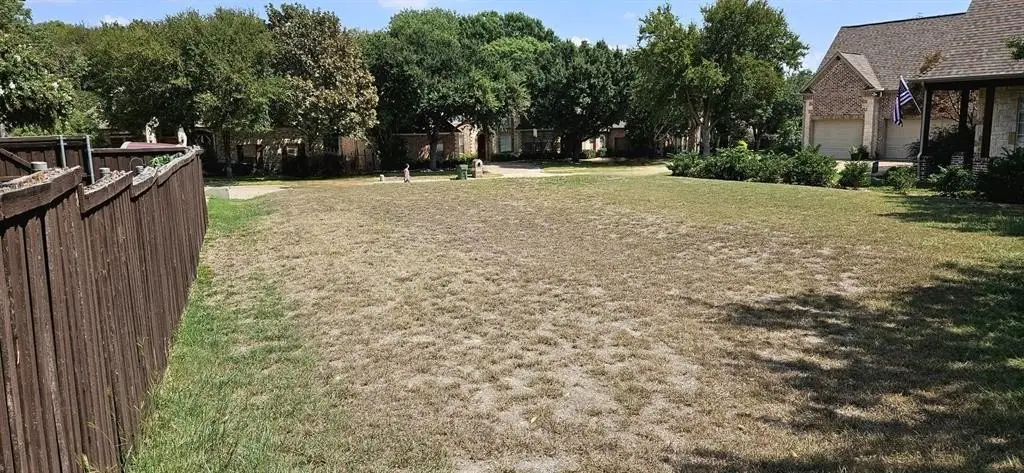 Picture 5