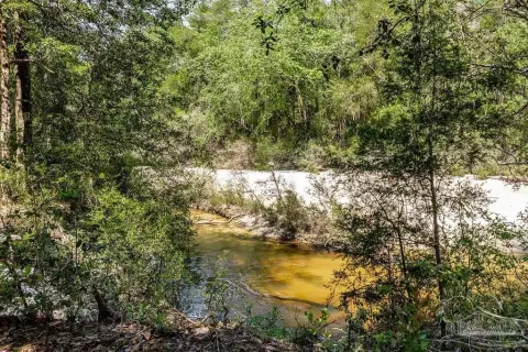 3.5 Acres on Little Escambia Creek