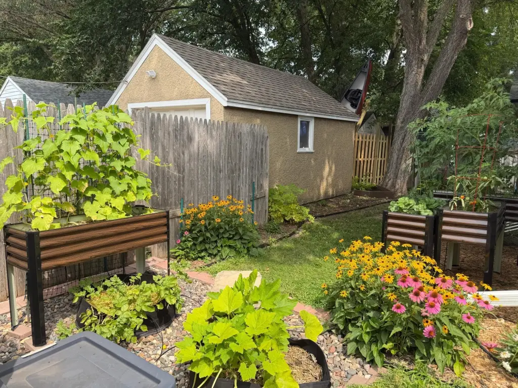 Picture 26