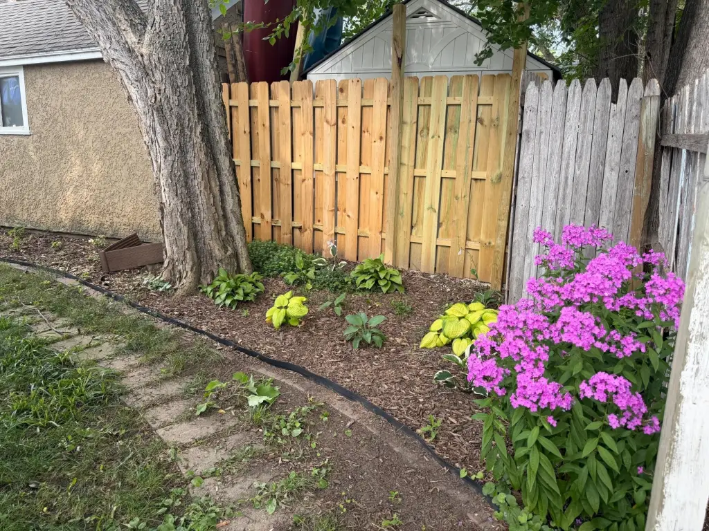Picture 23