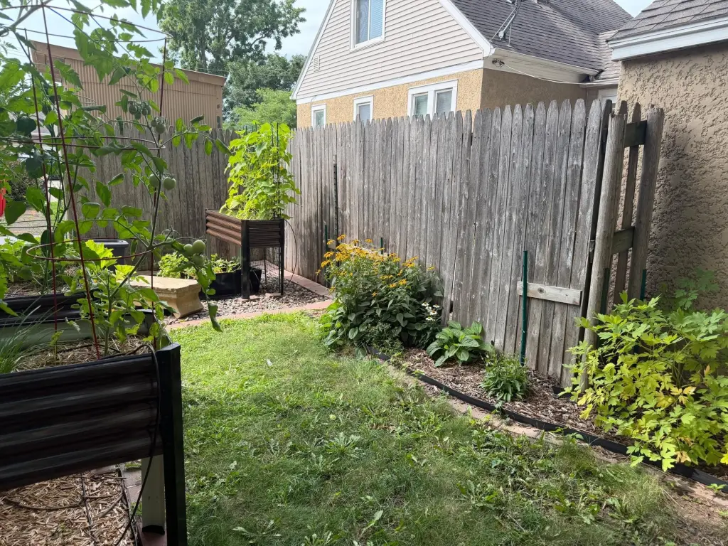 Picture 25