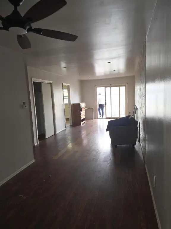 Picture 5