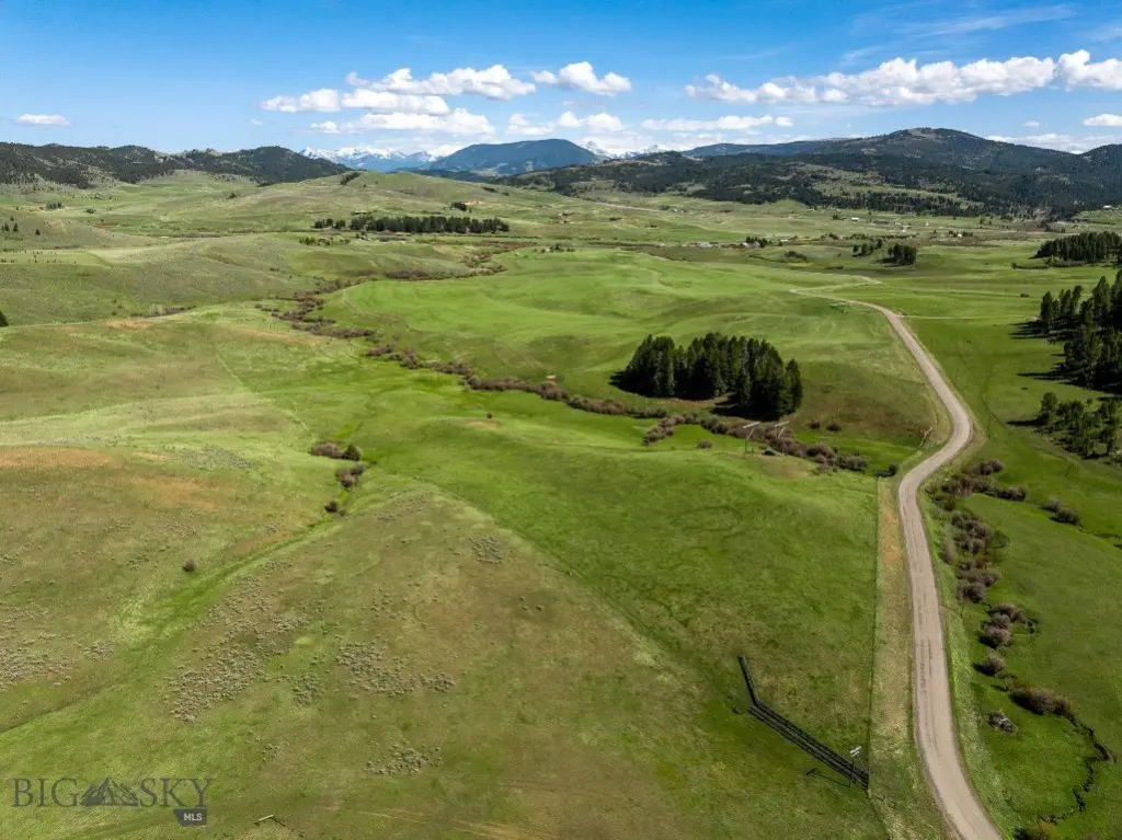 Picture 35