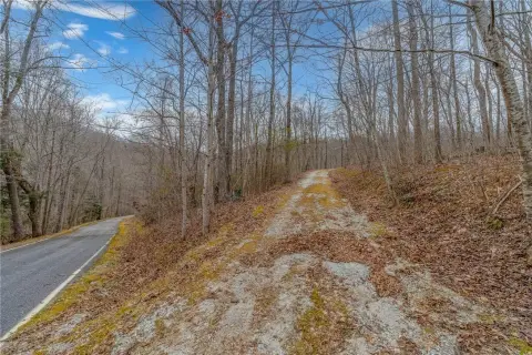 Landrum, SC Gently Sloping Lot