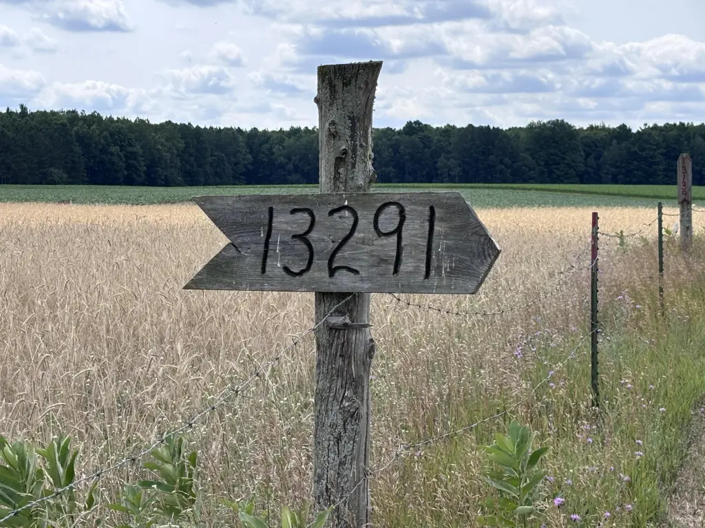 Picture 19