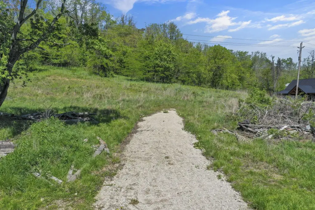 Picture 9