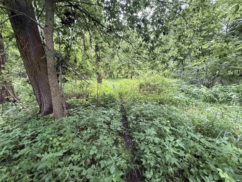 Picture 23