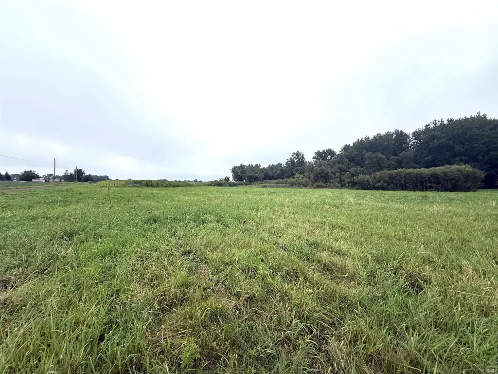 Picture 16