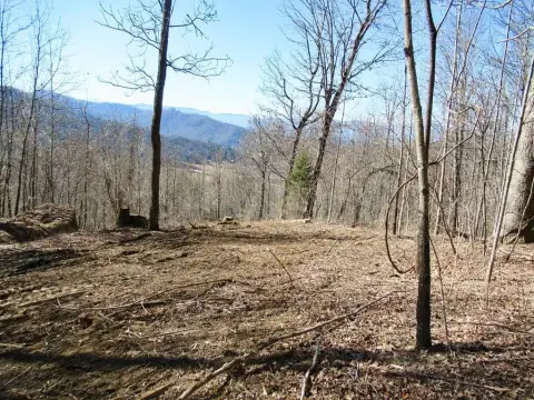 Mountain View Land Parcel
