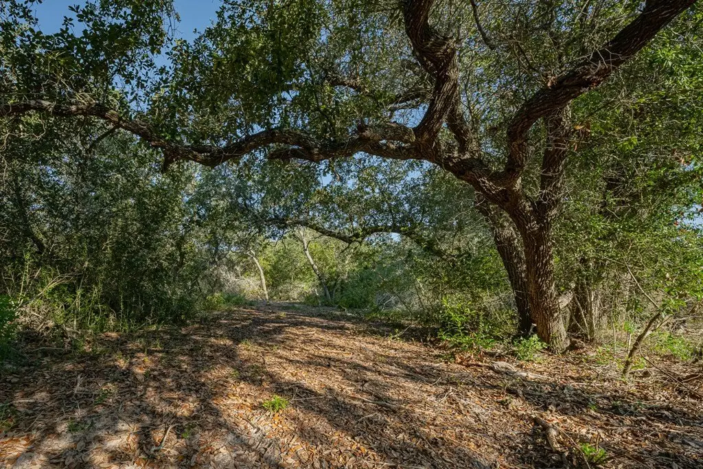 Picture 14