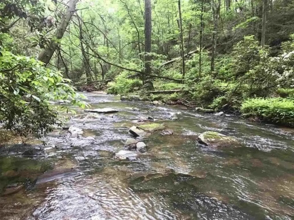 Picture 41