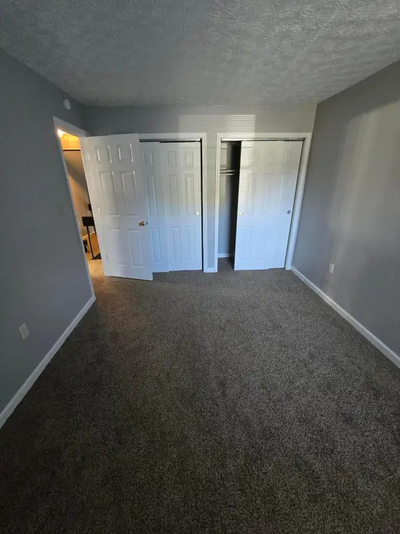 Picture 31
