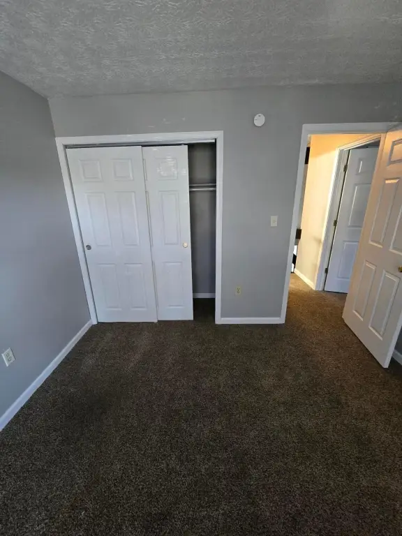 Picture 38