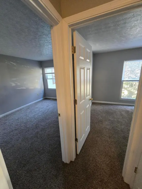 Picture 25