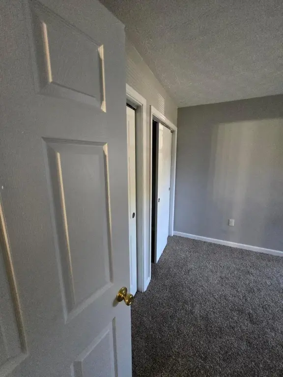Picture 29