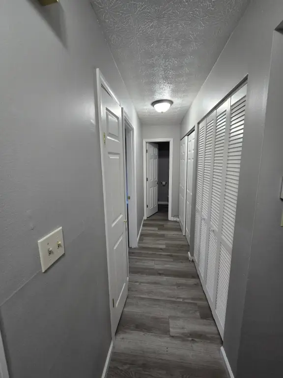 Picture 41