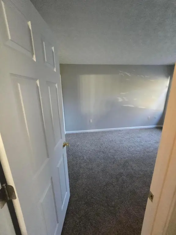 Picture 28