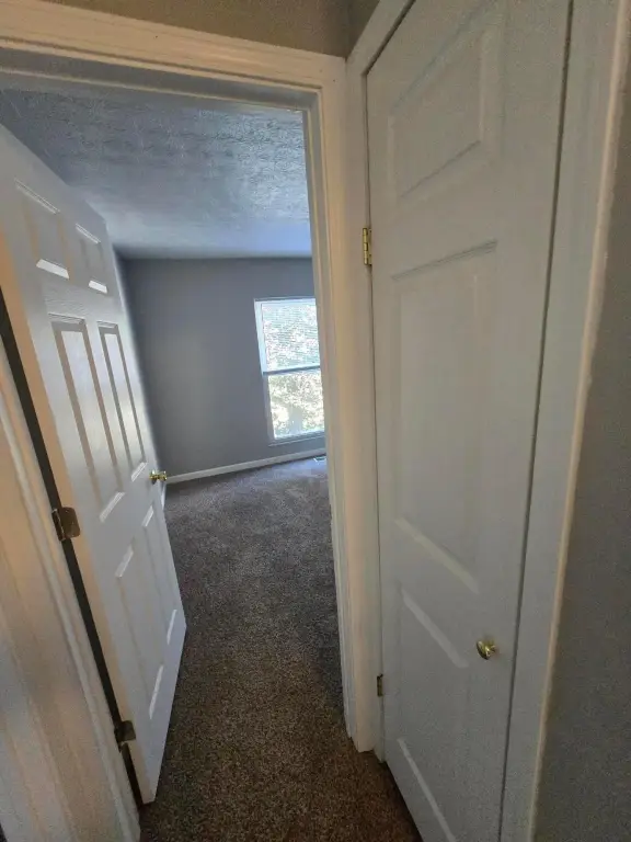 Picture 26