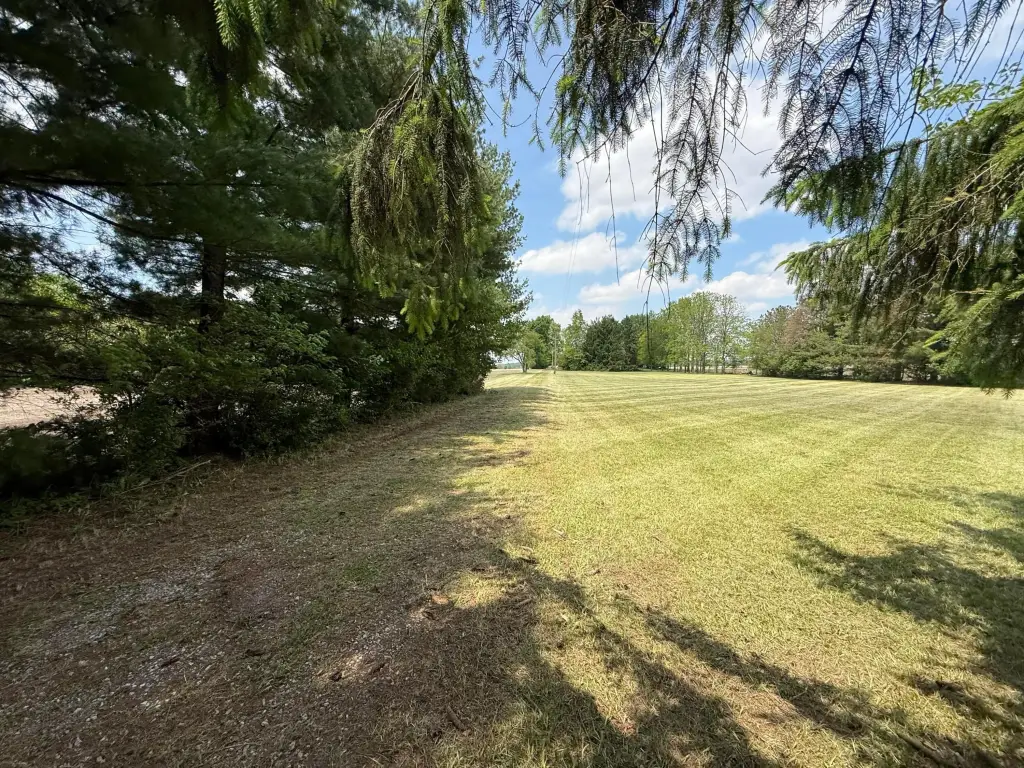 Picture 12