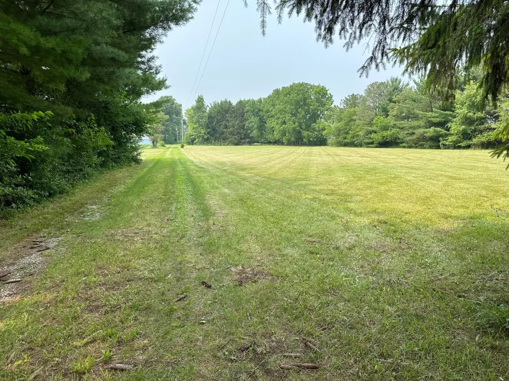 Picture 14