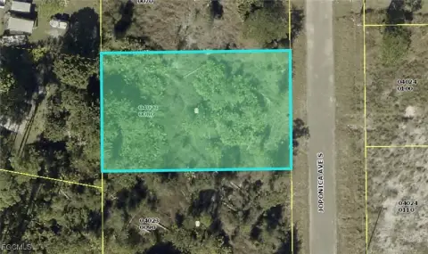 Lehigh Acres Vacant Land