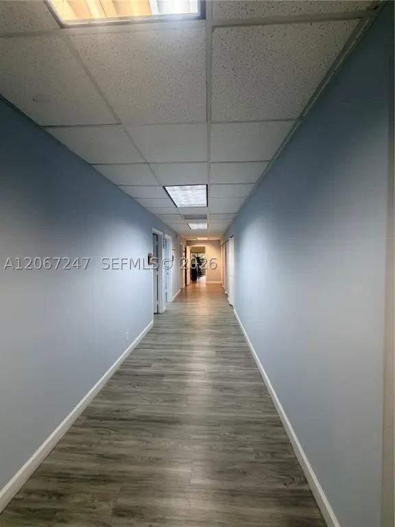 Picture 11