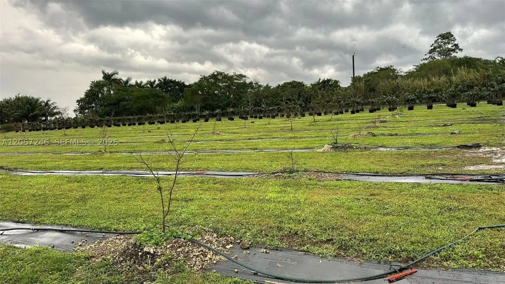Picture 10