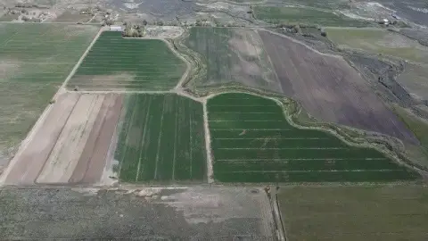 147.7 Acre Reed Ranch Land